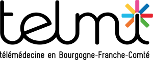 Logo TELMI